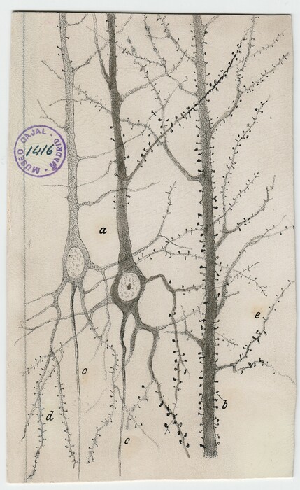Santiago Ramón y Cajal, ο νομπελίστας ιατρικής που εικονογραφούσε υπέροχα