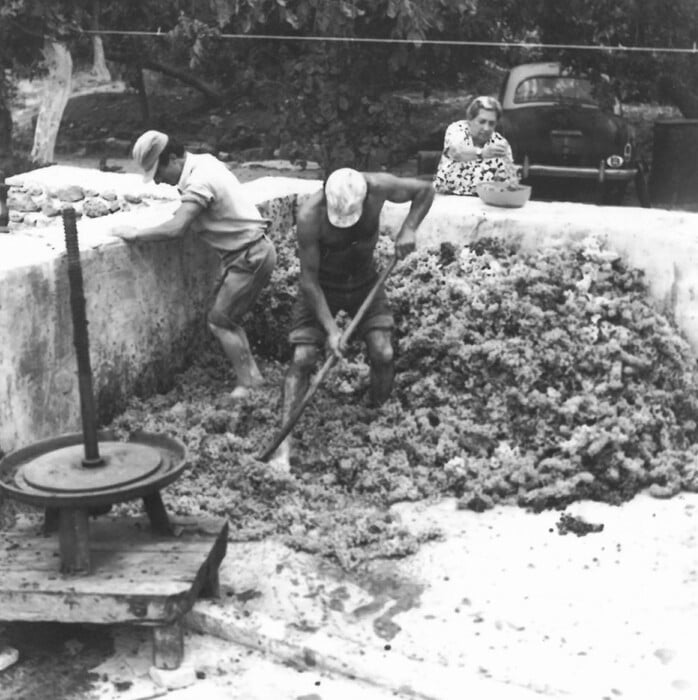 Η Ζάκυνθος του σήμερα μέσα από το κρασί της