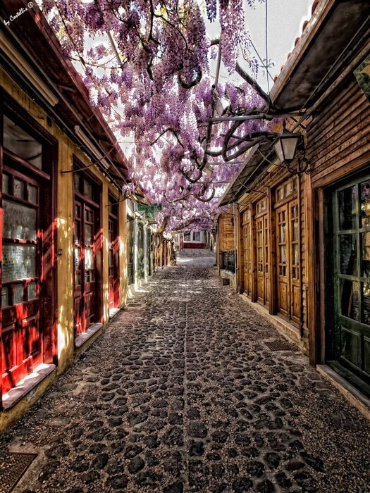 Χρειάζεται μια ζωή για να ανακαλύψεις την Ελλάδα, αλλά μόλις μία στιγμή για να ερωτευτείς το Μόλυβο