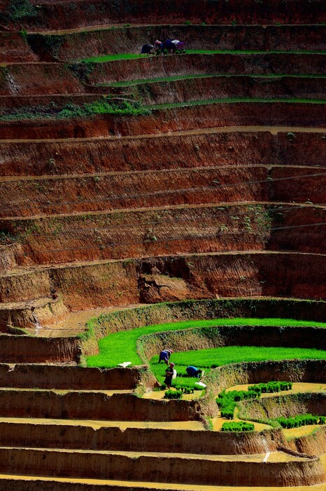 18 εντυπωσιακές φωτογραφίες από την Earth Photo 2018