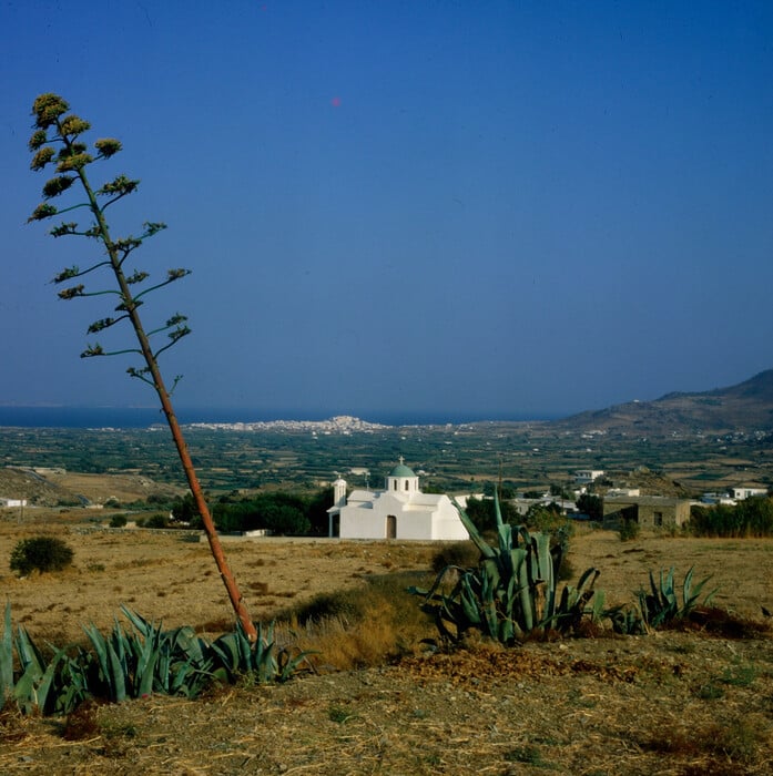 Γαλανάδο