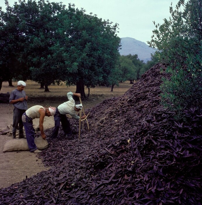 Βιοπαλαιστές στην Κρήτη της δεκαετίας του '70