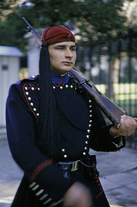 royal guard