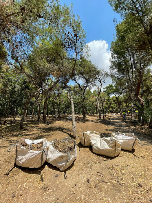 Άλσος Ευελπίδων: Ανάπλαση στον πνεύμονα πρασίνου από τον Δήμο Αθηναίων