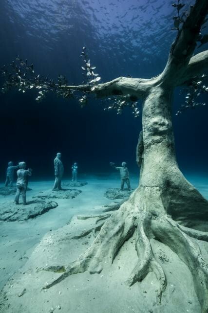Τα βυθισμένα γλυπτά του Jason deCaires Taylor κοσμούν πλέον τα νερά της Αγίας Νάπας