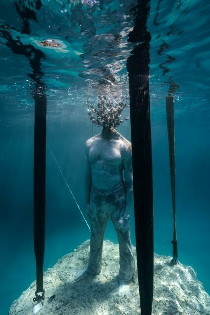 Τα βυθισμένα γλυπτά του Jason deCaires Taylor κοσμούν πλέον τα νερά της Αγίας Νάπας