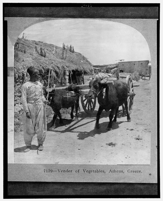 Σπάνιες φωτογραφίες από την Αθήνα του 1900