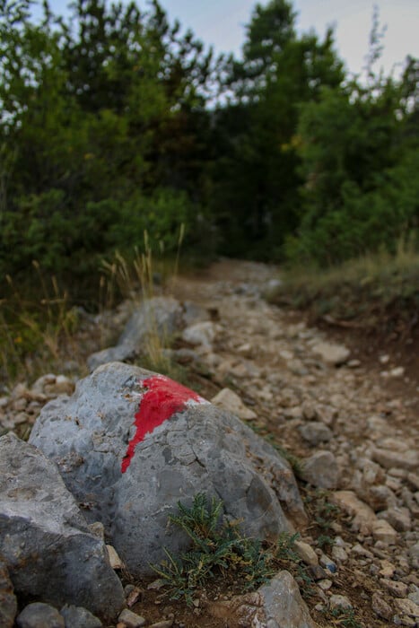 Πεζοπορία στην Δρακόλιμνη Τύμφης