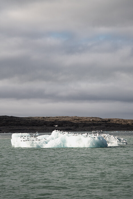 UP IN THE ARCTIC: Το ημερολόγιο της αποστολής πέντε Ελλήνων στον Αρκτικό Ωκεανό