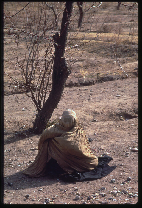 Η Ελένη Μυλωνά φωτογραφίζει το Αφγανιστάν σε ένα ταξίδι της το 1971 και αφηγείται μια περιπέτεια ζωής