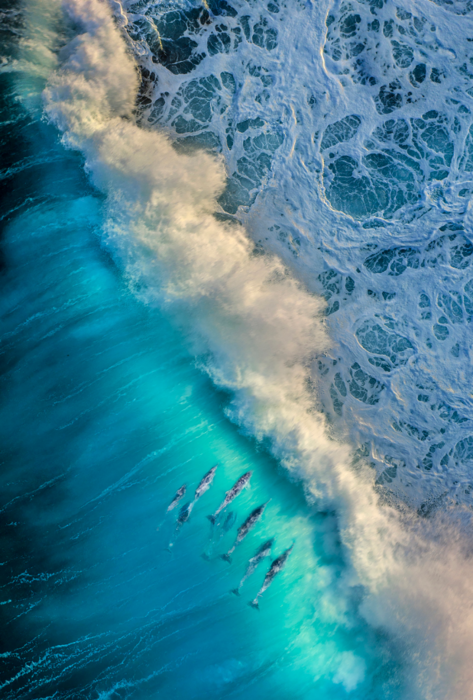 Ocean Photography Awards 2021