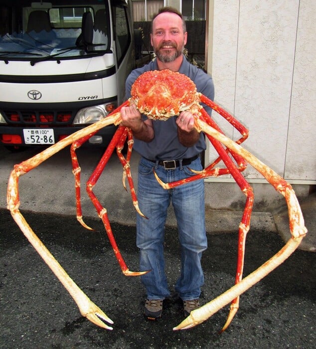 japanese crab