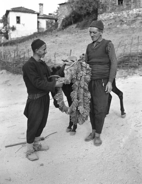 Στα Πομακοχώρια το 1947