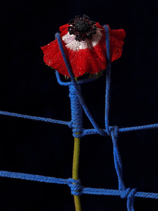 Leonardo Pucci/FLOWERS