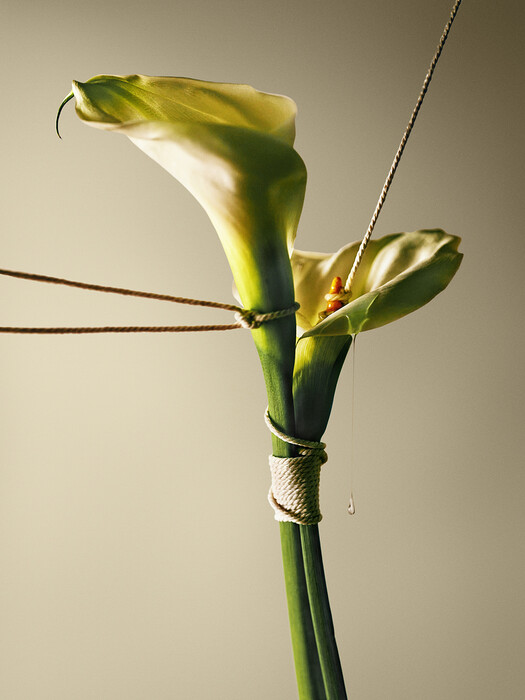 Leonardo Pucci/FLOWERS