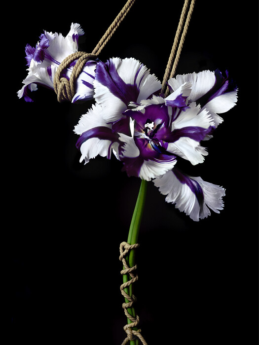 Leonardo Pucci/FLOWERS