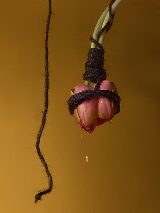 Leonardo Pucci/FLOWERS
