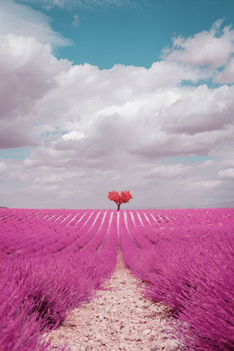 Infrared Photos Capture Breathtaking Views of France in Cotton-Candy Pink Hues