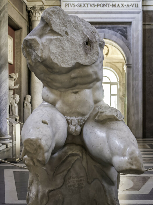 belveder torso