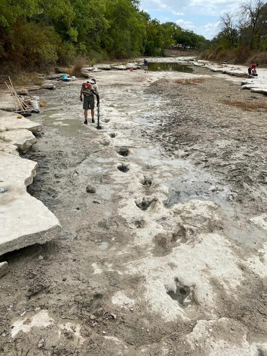 Dinosaur tracks from 113M years ago have become visible amid drought