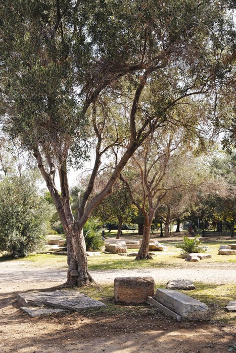 Τι συμβαίνει με την Ακαδημία Πλάτωνος;