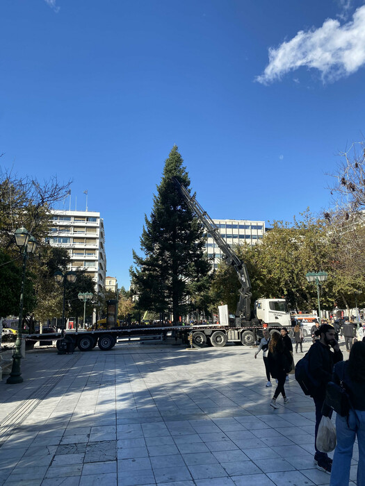 Στήθηκε το Χριστουγεννιάτικο δέντρο στην πλατεία Συντάγματος
