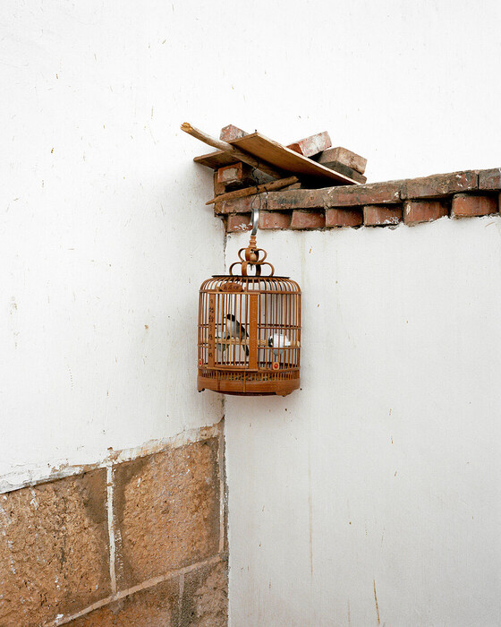 Στην χώρα των υποσχέσεων