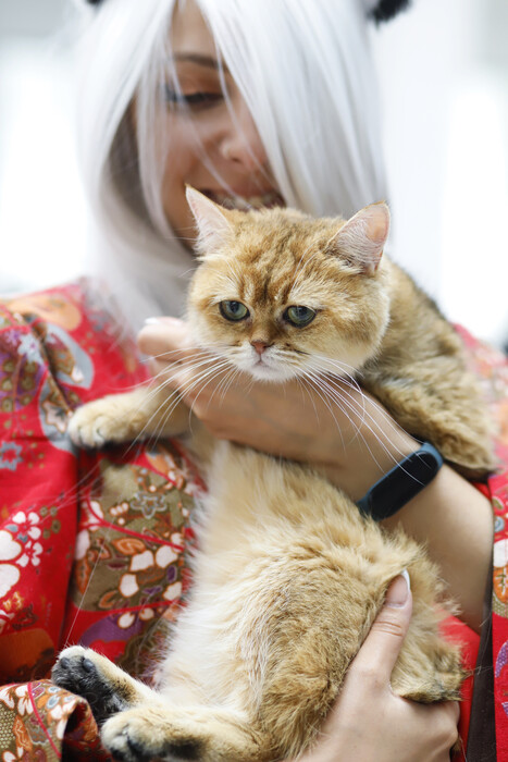 CAT EXPO 2023: Πραγματοποιήθηκε η Έκθεση Μορφολογίας Γάτας