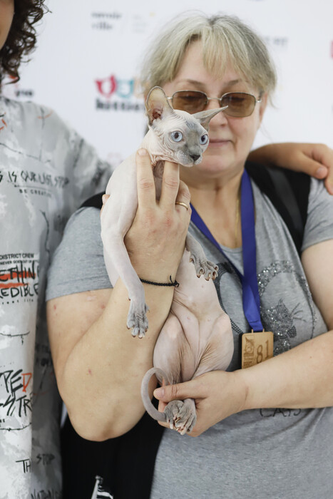 CAT EXPO 2023: Πραγματοποιήθηκε η Έκθεση Μορφολογίας Γάτας