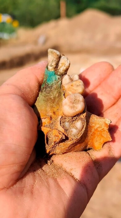 Τάφο παιδιού – βαμπίρ αποκάλυψε η αρχαιολογική σκαπάνη σε περιοχή βόρεια της Πολωνίας