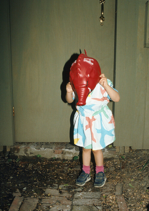 Η Nan Goldin επιστρέφει στην πηγή της 