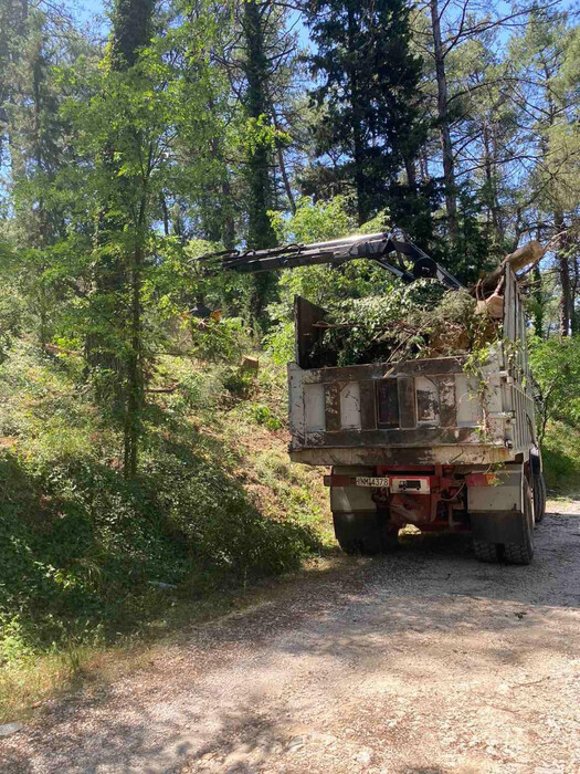 Δάση: διαχείριση και προστασία με χρηματιστήριο ρύπων