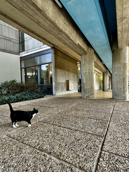 Le Corbusier Attali