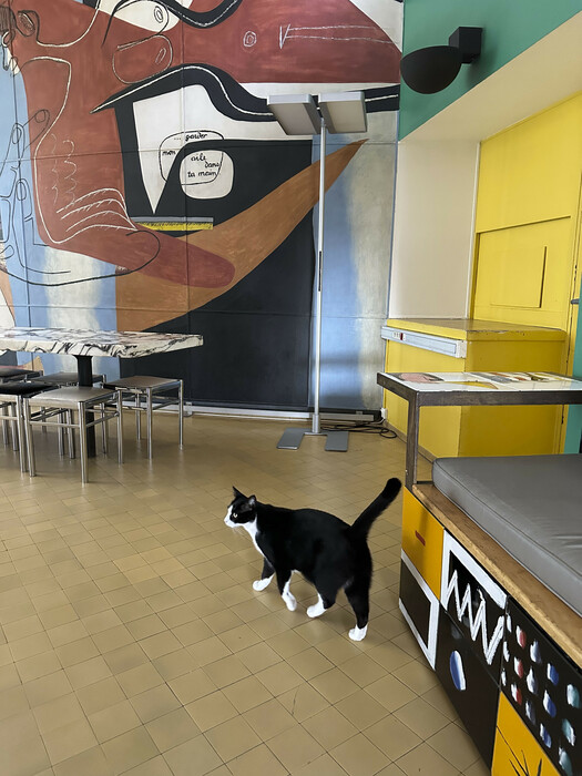 Le Corbusier Attali