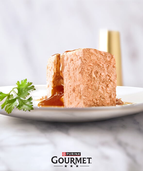 Στο φετινό γιορτινό τραπέζι, οι γάτες μας θα είναι οι επίτιμοι καλεσμένοι 