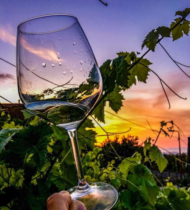 Χαρτοδιπλωμένος Winery: Το «ακάτιο» που ταξιδεύει τις αισθήσεις μας στο απόλυτο «ἦδος»