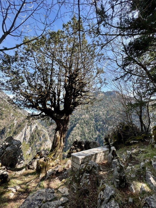 Όλα από την αρχή στο Σκαμνέλι, στα Ζαγοροχώρια 