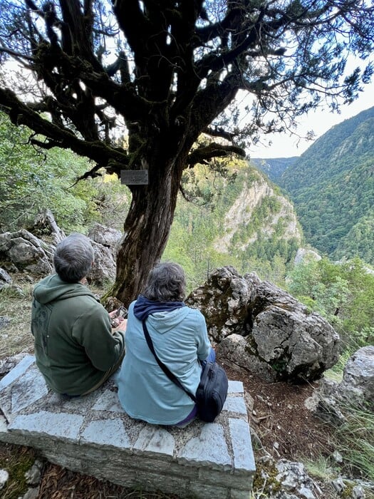 Όλα από την αρχή στο Σκαμνέλι, στα Ζαγοροχώρια