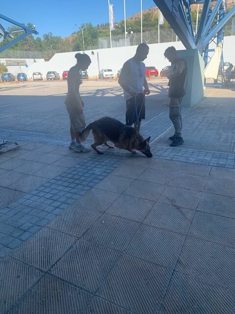 Μέσα στο κέντρο πυρόπληκτων ζώων στο ΠΑΛΑΙ Γαλατσίου
