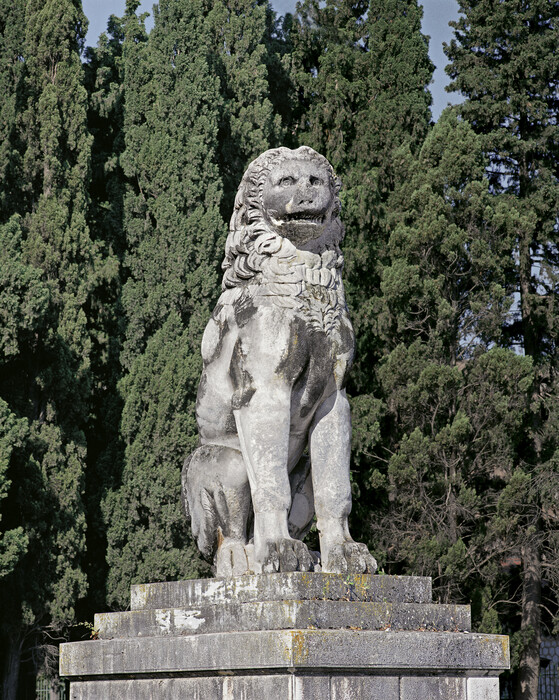 κξ
