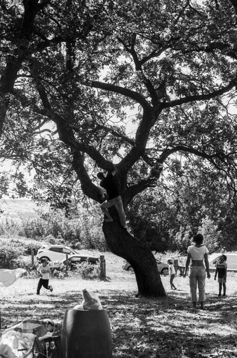 Η Ελένη Τσομπανίδου γύρισε στο χωριό της, τα Δίκαια του Έβρου και βρήκε αυτό που έψαχνε χρόνια στο εξωτερικό
