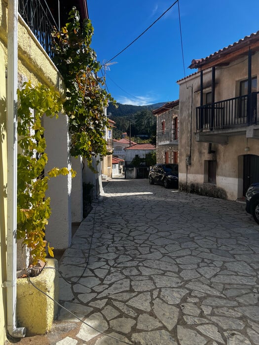 «Θέλουμε τα χωριά μας είναι τόποι χαράς και ανταμώματος, να ενώνουν τους ανθρώπους. Πρέπει να τολμάμε, να προσπαθούμε».