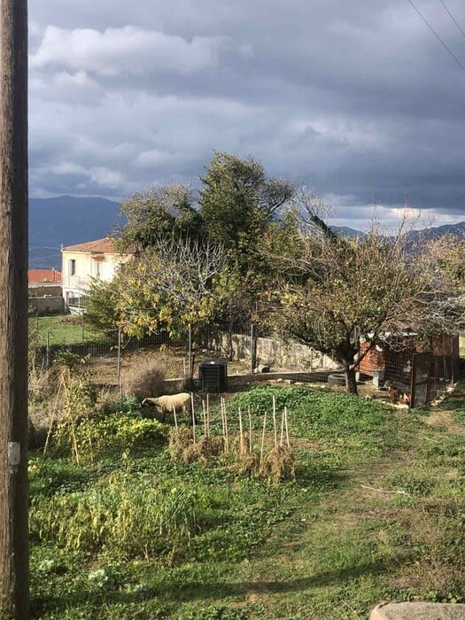 «Μπορεί να μην είναι ρόδινα τα πράγματα στην επαρχία, αλλά και πού είναι;»