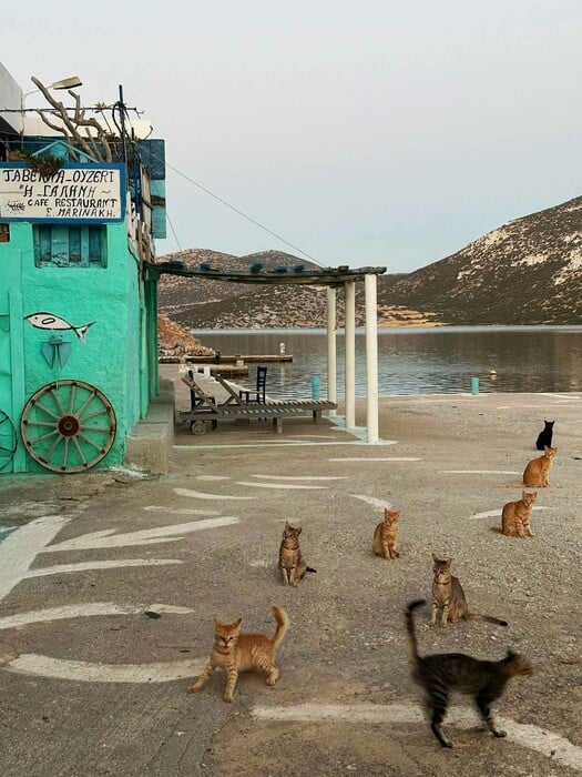 «Όταν κάτι το κάνεις ξανά και ξανά, παύει να είναι νόστιμο»