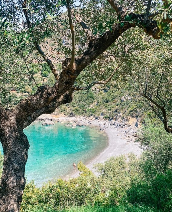 48 ώρες στην Καρδαμύλη