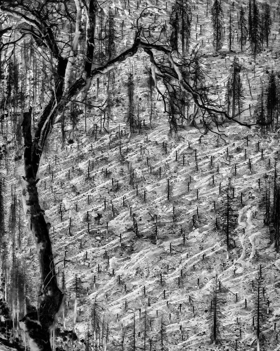 Η κλιματική κρίση μέσα από τον φακό θερμικής κάμερας του National Geographic