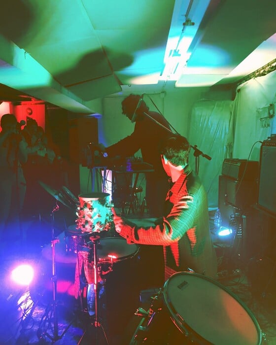 Αυτοοργάνωση, πολυμορφία και δημιουργία