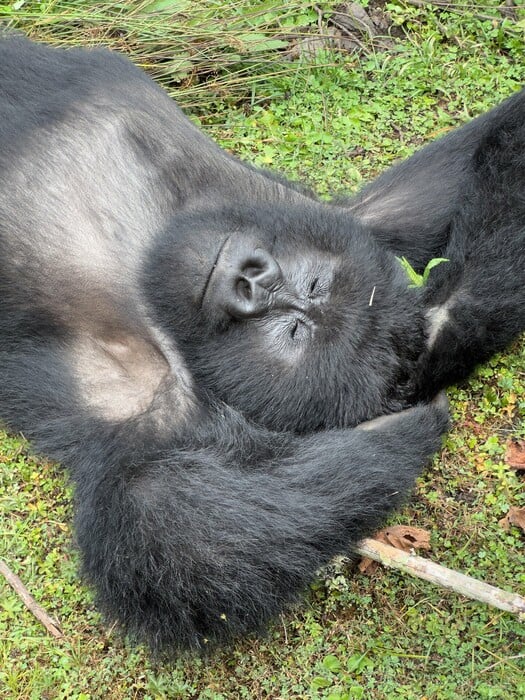 ΕΠΕΞ Νοέμβριος 2025 - Εικαστικές εκθέσεις στην Αθήνα