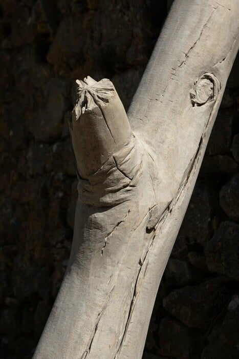 ΕΠΕΞ Νοέμβριος 2025 - Εικαστικές εκθέσεις στην Αθήνα