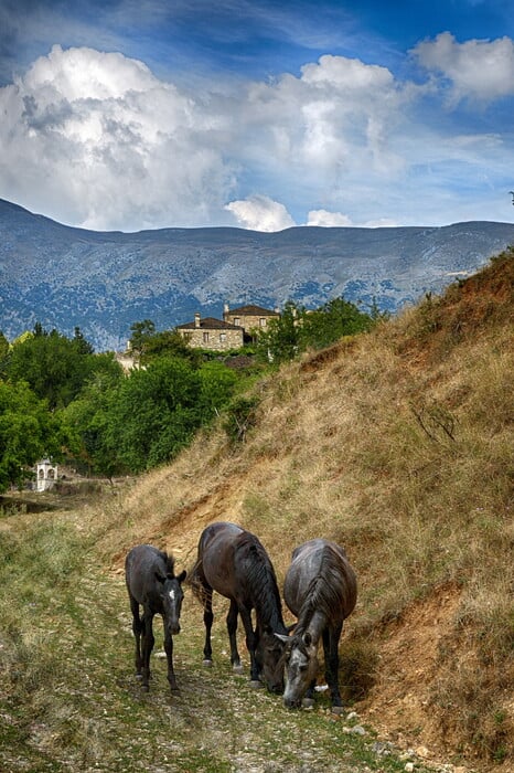 48 ώρες στο Μεγάλο και το Μικρό Πάπιγκο